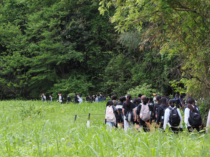 瀬上池で理科・社会の合同フィールドワーク
