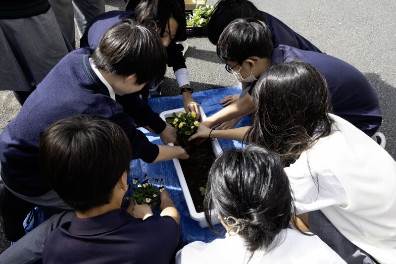 「かながわ花咲かスクールプロジェクト」 中学1年生が花苗の植え付けを行いました