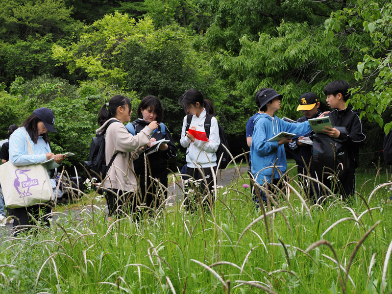 表紙-4.jpg
